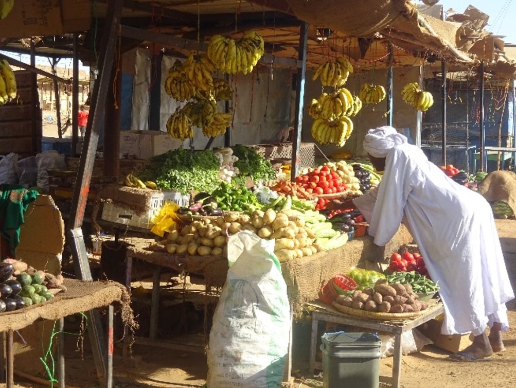 Ligeti Zsuzsa: Núbia ízei #1 – Piacozás Dongolában
